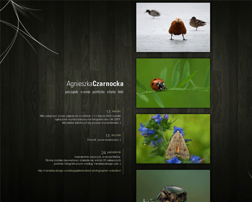 Przejd doAgnieszka Czarnocka Portfolio