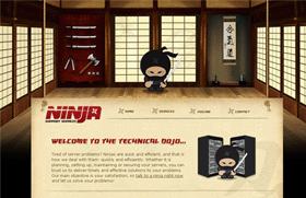  Ninja Support Services