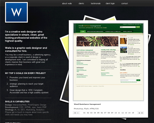 Przejd doWaila Skinner Web Designer and Consultant